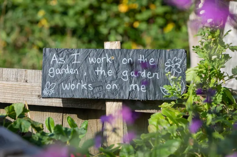 Cultivating a Sensory Garden: A Personal Journey to a Living Sanctuary Cultivating a Sensory Garden: A Personal Journey to a Living Sanctuary