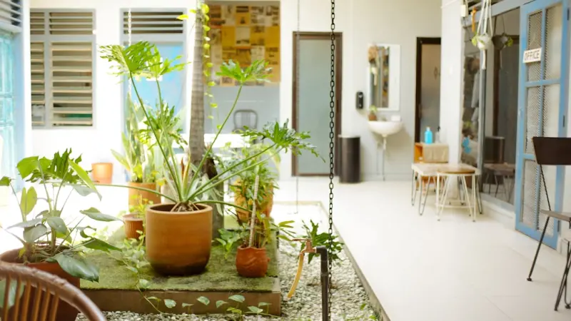 Biophilic Design: Bringing the Outdoors Inside for Healthier Living