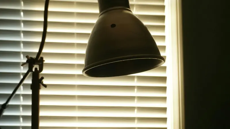 Light‑Modulating Window Treatments: Design, Health, and Brand Impact